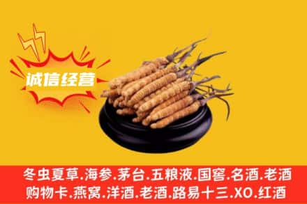 涪陵区回收冬虫夏草